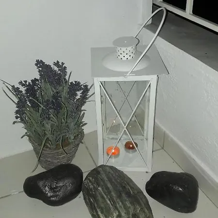 Apartment Vi